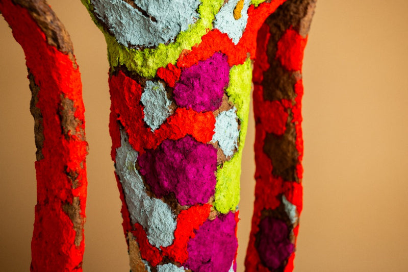 Flor De Bosque, 2026