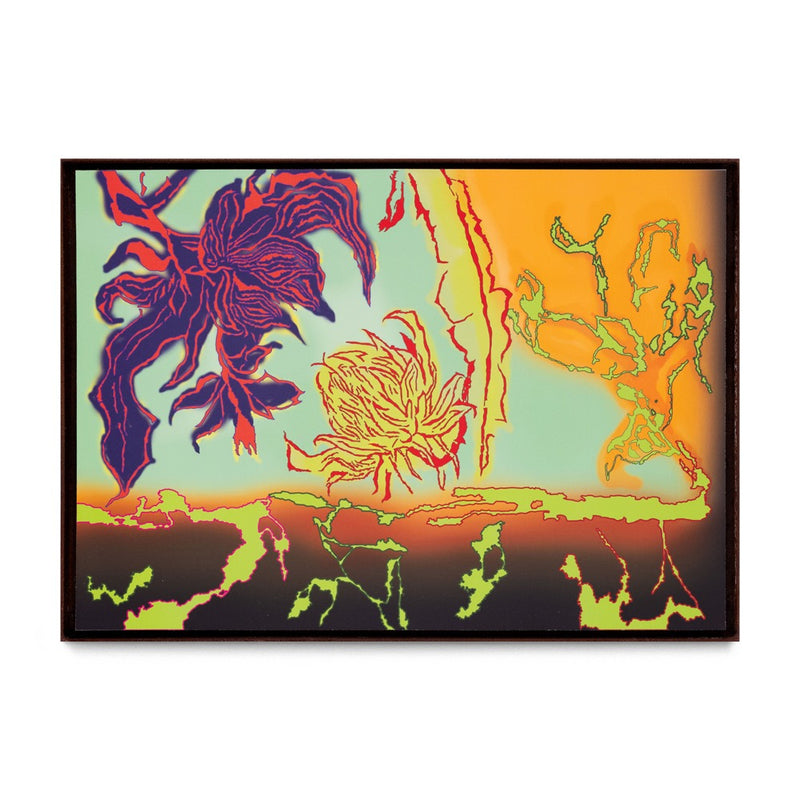 Una Jungla Por Descubrir IV, 2025