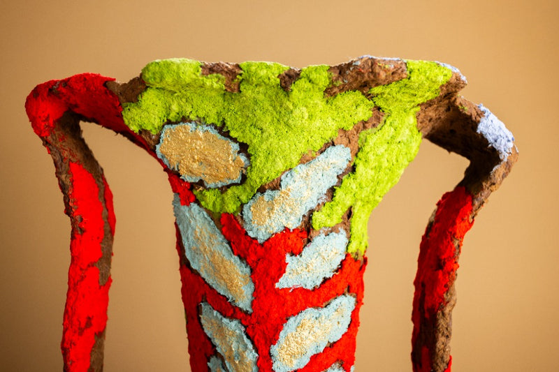 Flor De Bosque, 2026