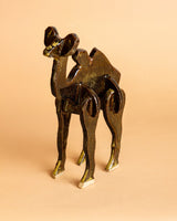 Camel, 2025