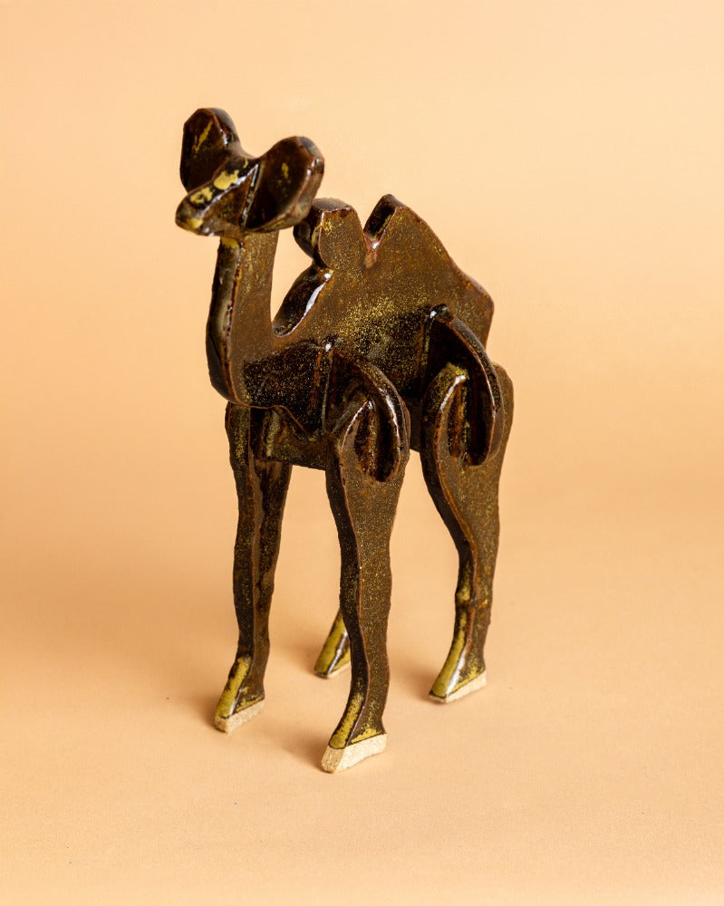 Camel, 2025