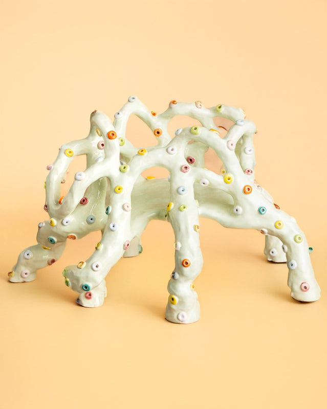 Pulpo, 2025