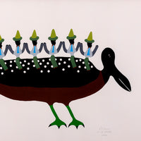 Pájaro De Mar Por Tierra