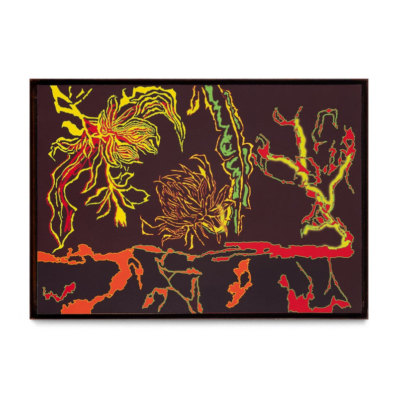 Una Jungla Por Descubrir I, 2025