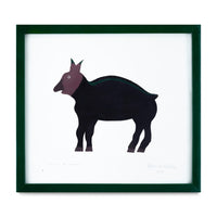 Animal De La Selva, 2025